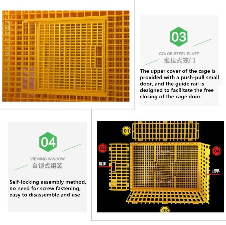 Chicken Transport Crates details