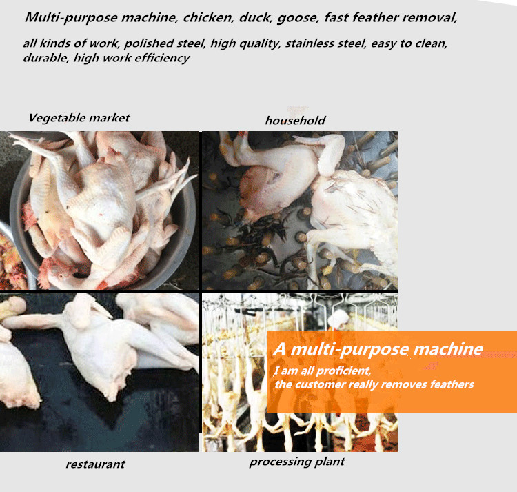Chicken feather removal Purpose machine