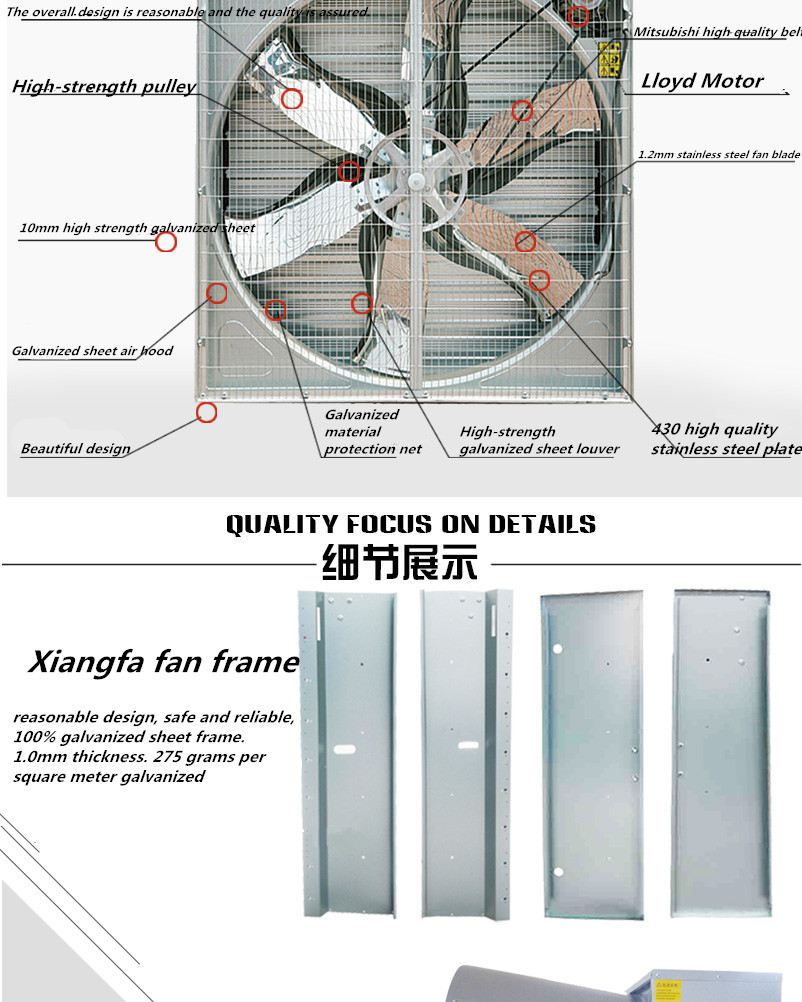 Quanlity focus of Cone Fan Butterfly type
