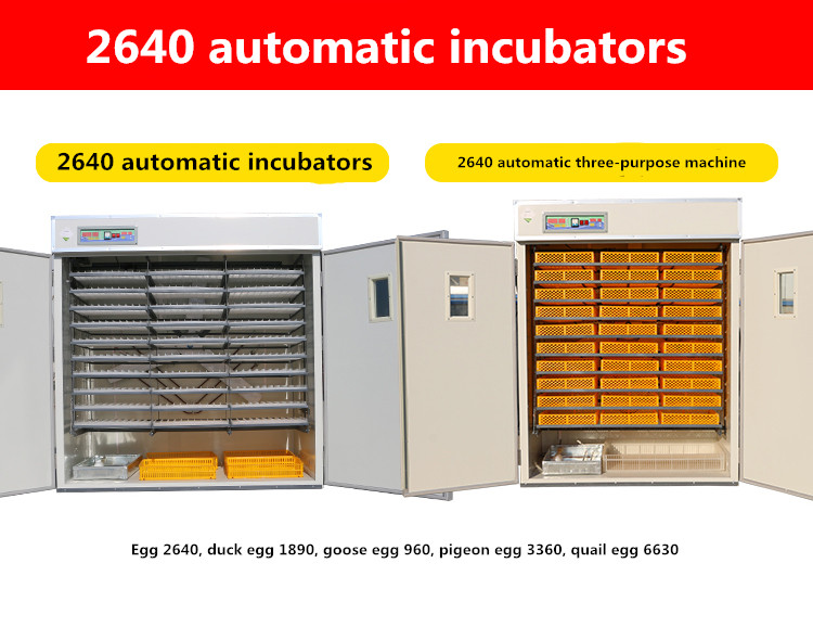 Incubator For Chicken Eggs 2640