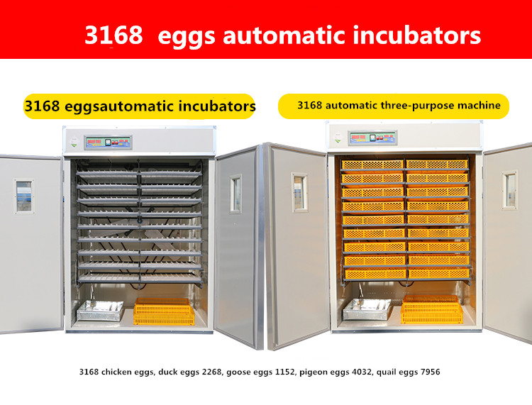 Incubator For Chicken Eggs 3168