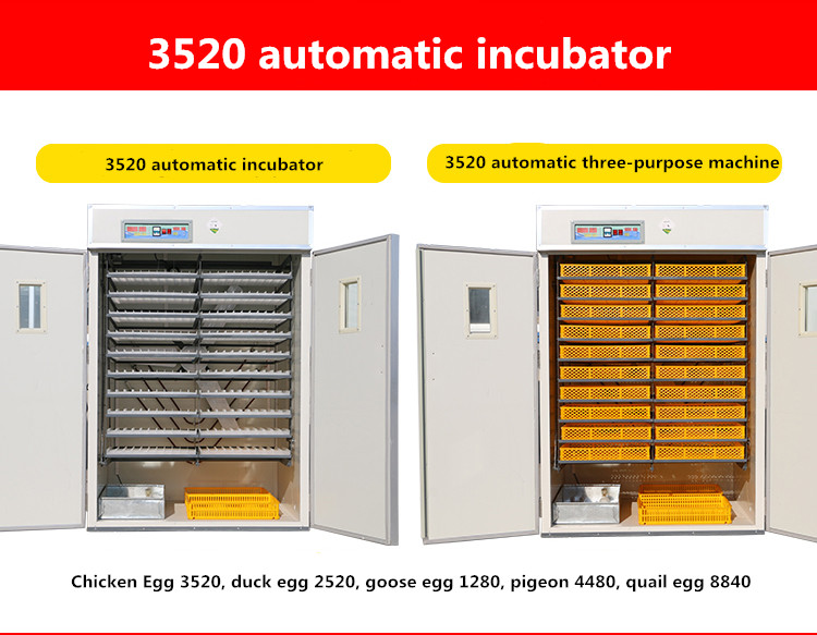 Incubator For Chicken Eggs 3520