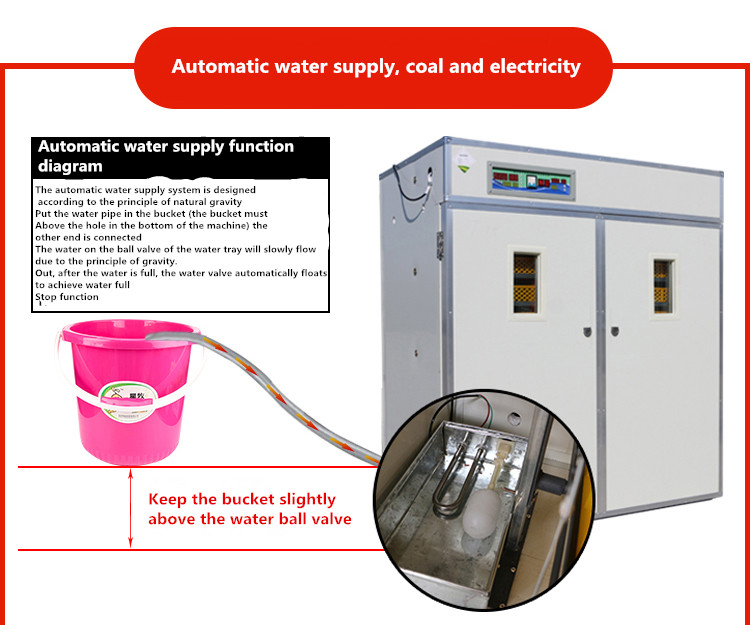 Incubator For Chicken Eggs water supply