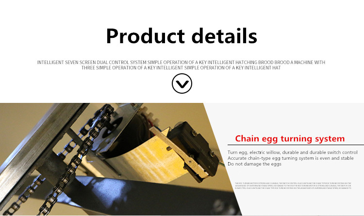 Incubator For Chicken Eggs details