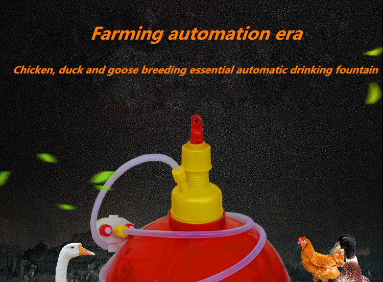 Bell Drinker for Poultry