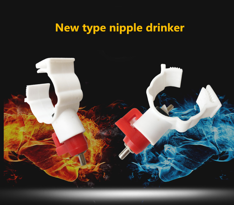 chicken nipple drinkers