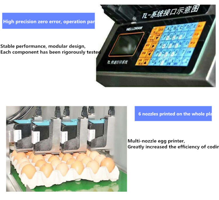  High precision Egg Printer Six-head