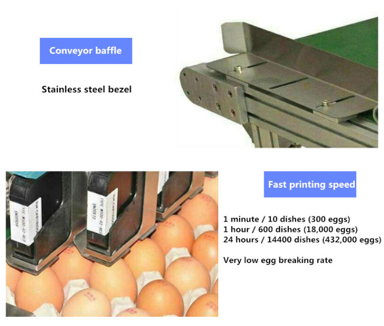 Egg Printer Six-head fast printing speed