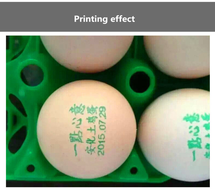 Egg Printer Six-head printing effect