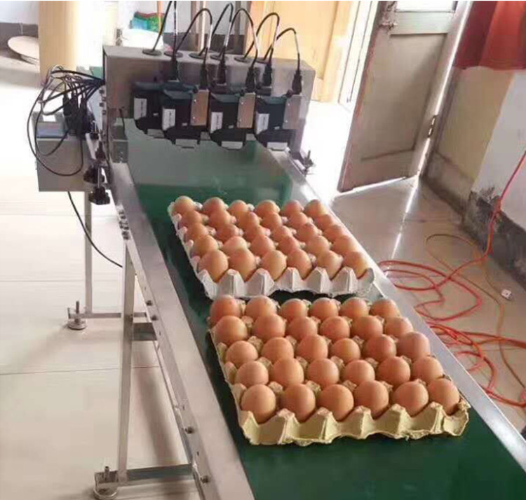 Egg Printer Six-head pictrues