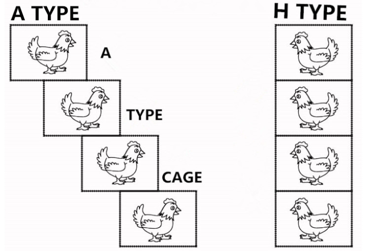 Chicken feed machine Application