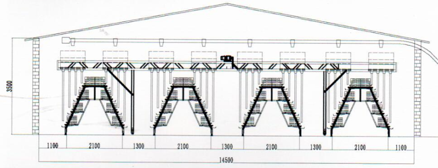 Chicken wire cages design