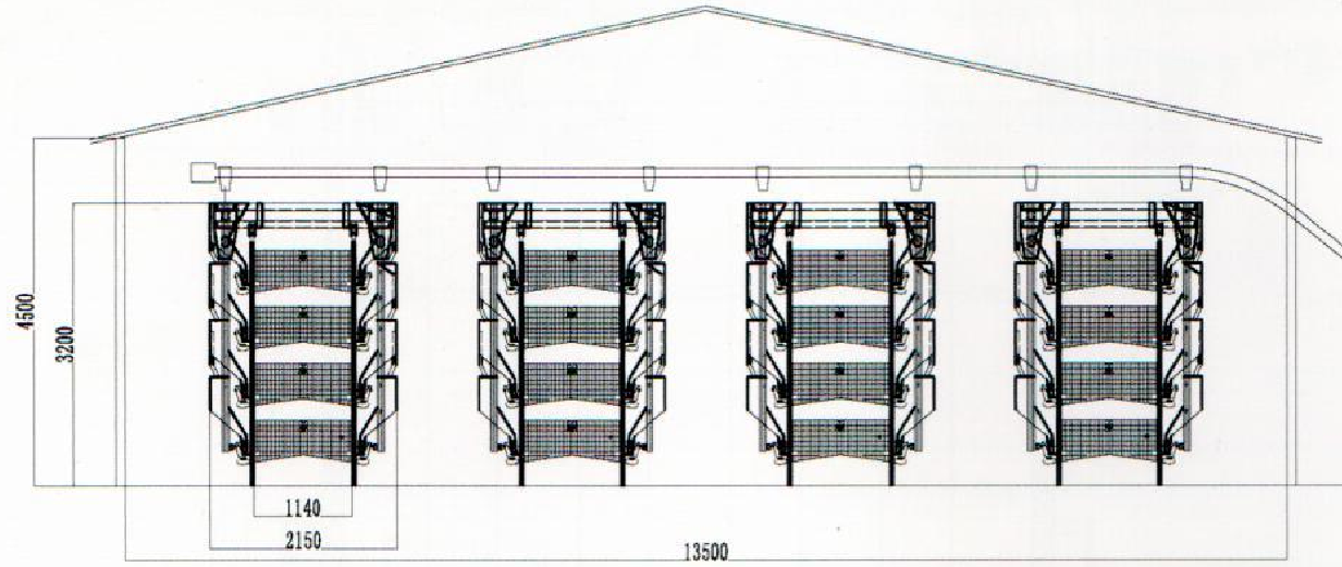 Layout of Layer Cages farming