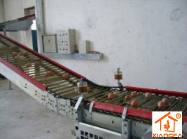 Egg collecting machine