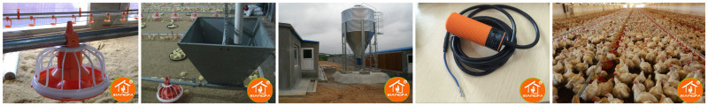 Broiler breeding equipment