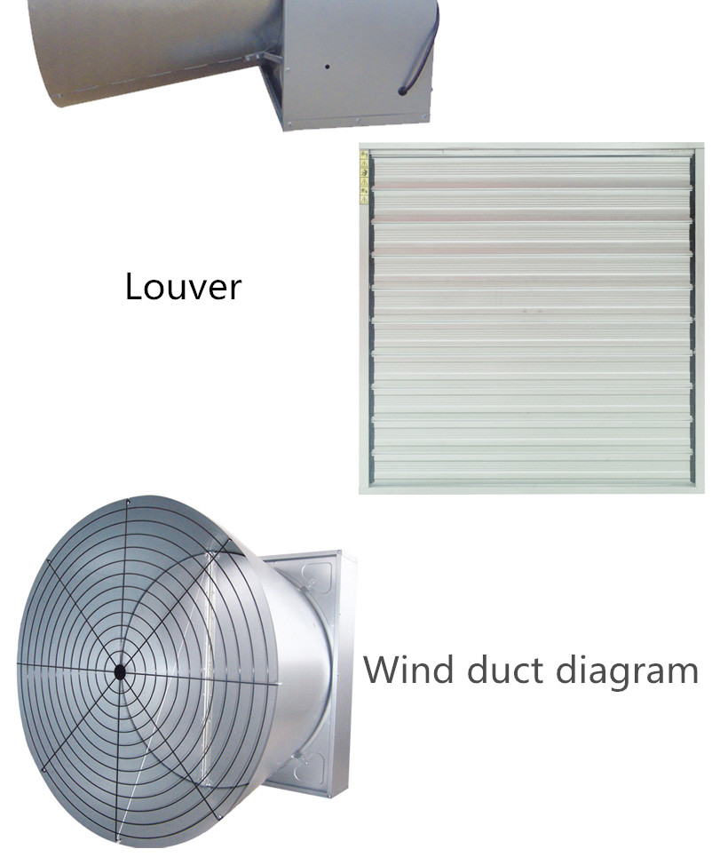 Pictrues of cooling fan