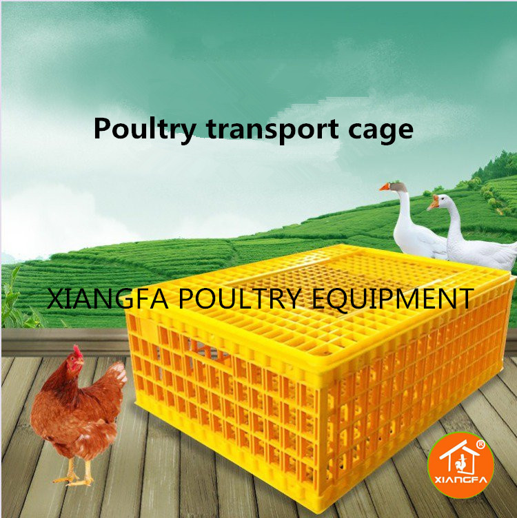 Chicken transport crates