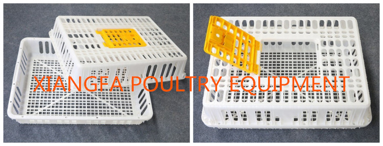 poutry transport basket