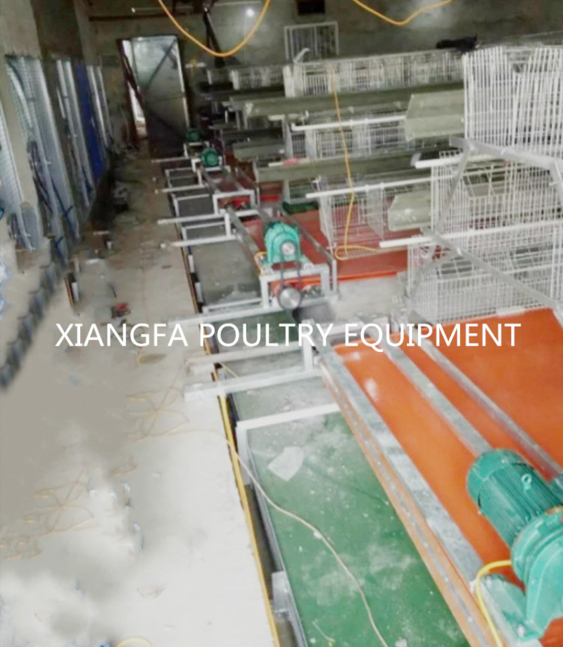 Manure Remove system of automatic layer cage