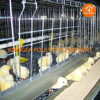 H Type Broiler Cage 3 Tiers Semi 72 Birds