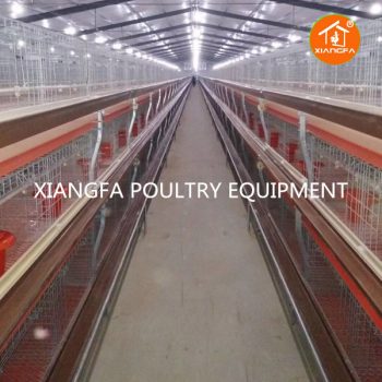 Broiler Chicken Cage Automatic 72 Birds