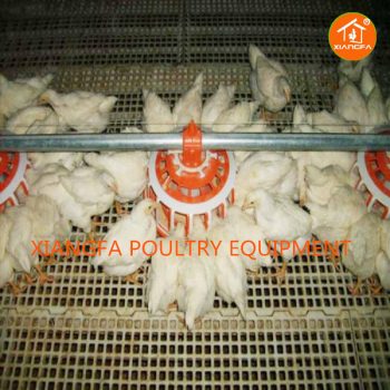 Automatic Feeding System For Poultry Farm