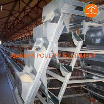 Chicken Feed Machine Automatic