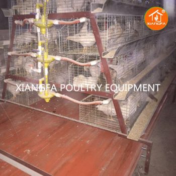 Chicken Rearing Cages 240 Birds