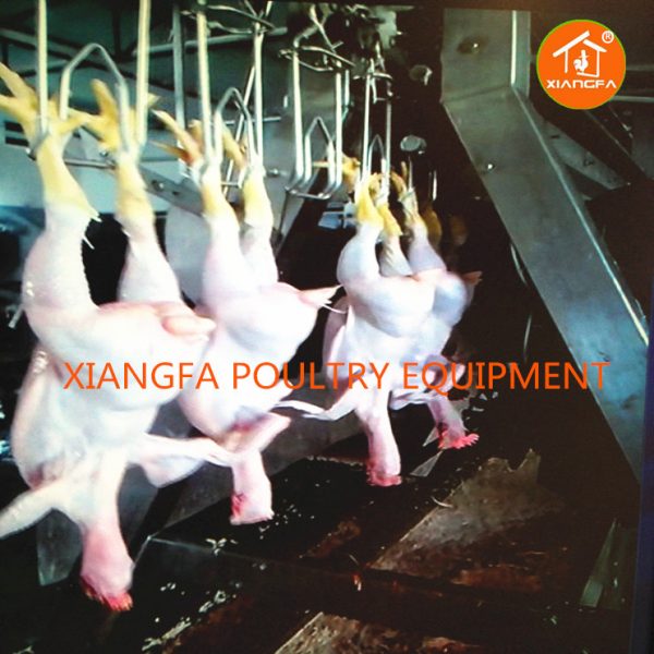 Chicken Slaughtering Equipment