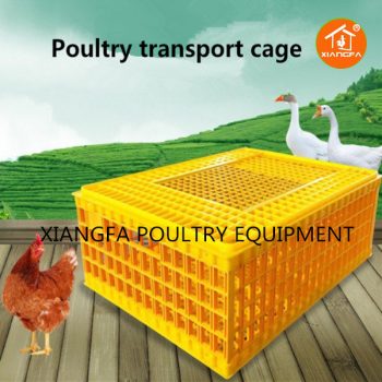 Chicken Transport Crate