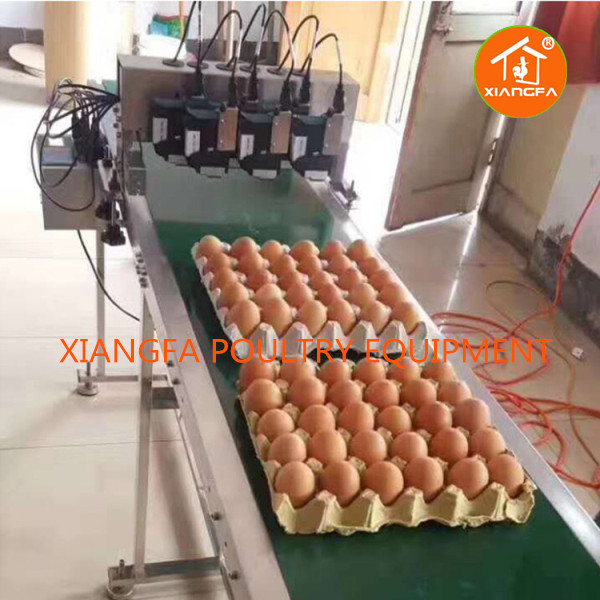 Egg Printer Six-head