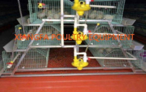 Chicken Cage Size