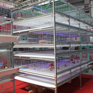 Commercial Rabbit Cages