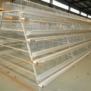 Fairly Used Battery Cage