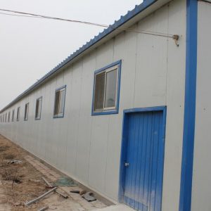 Quail Transport Cage