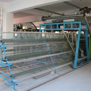 The Chicken House Is Constructed When The Fermentation Bed Is Raised