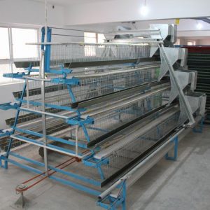 A Type Poultry Cage