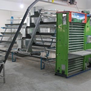 Chicken Battery Cages For Sale In South Africa