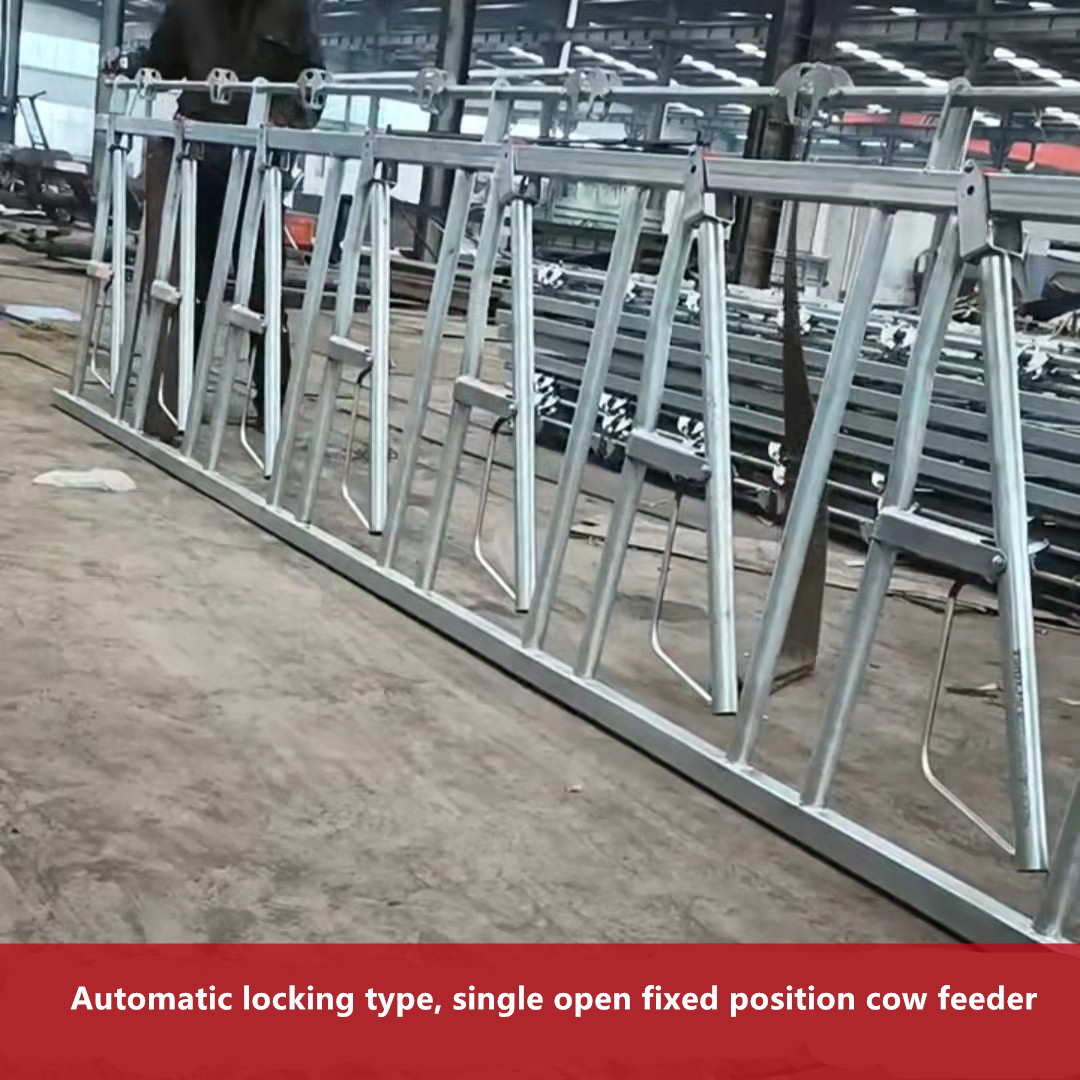 Hot dipped galvanized cow headlock cattle head locks livestock farm ...